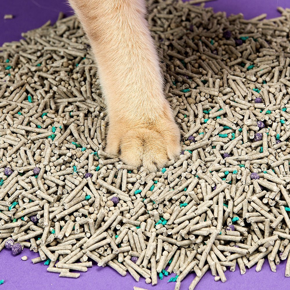 5 in 1 Mixed Cat Litter x4
