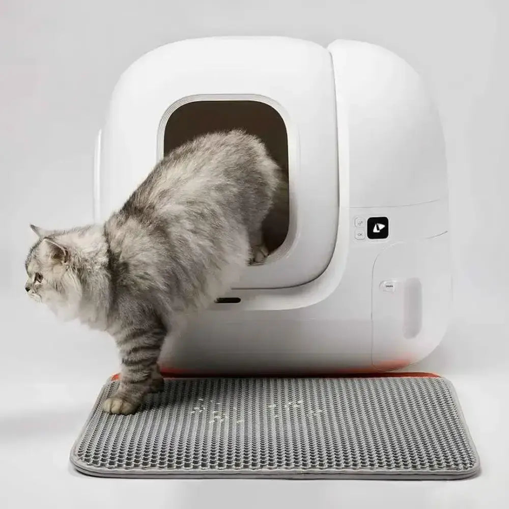 Litter Clean Pad
