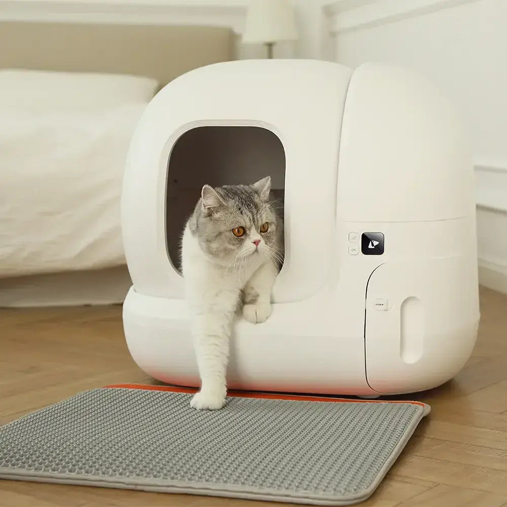 Litter Clean Pad