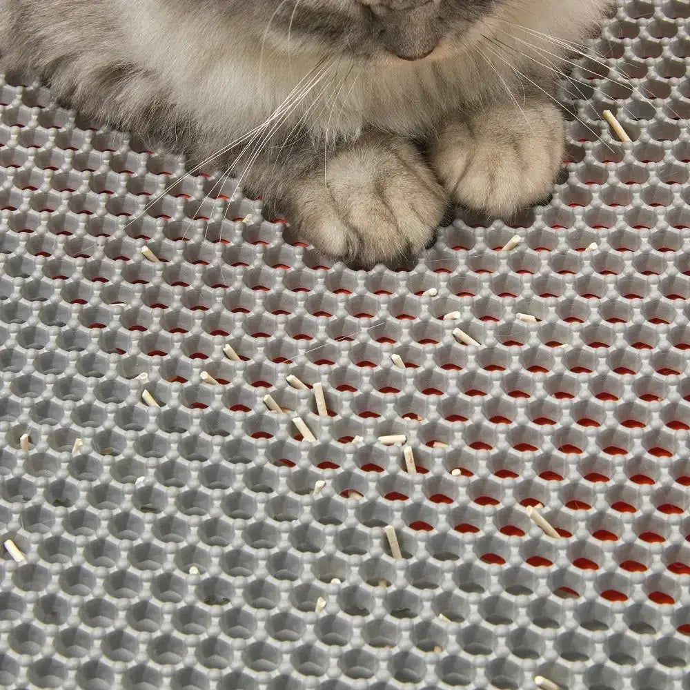 Litter Clean Pad