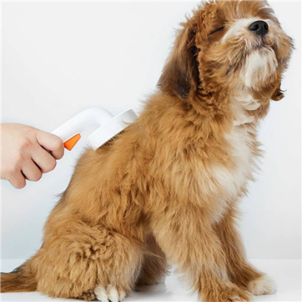 Pet Grooming Brush 2