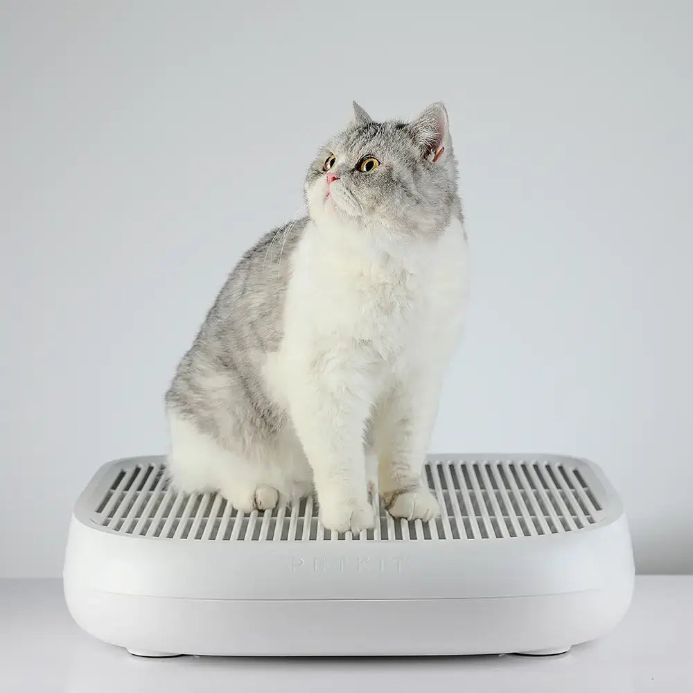 Cat Litter Trapper